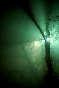 Реальность. Человек и дерево. Мир нашими глазами.